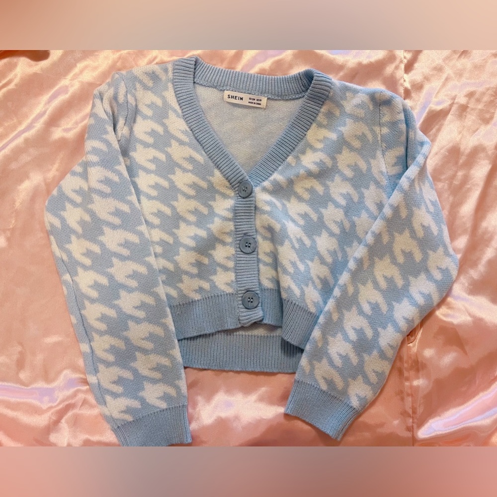 Blue Cardigan